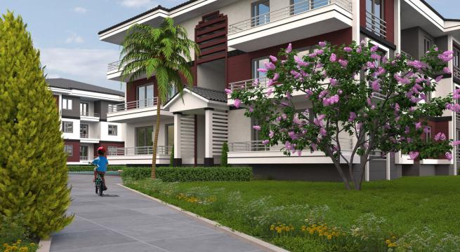 ortakfikir yazilim web 3d grafik animasyon 966 